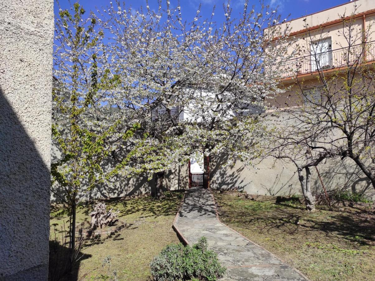 Antica Dimora Palazzo Rovitti Cerchiara di Calabria Exterior foto