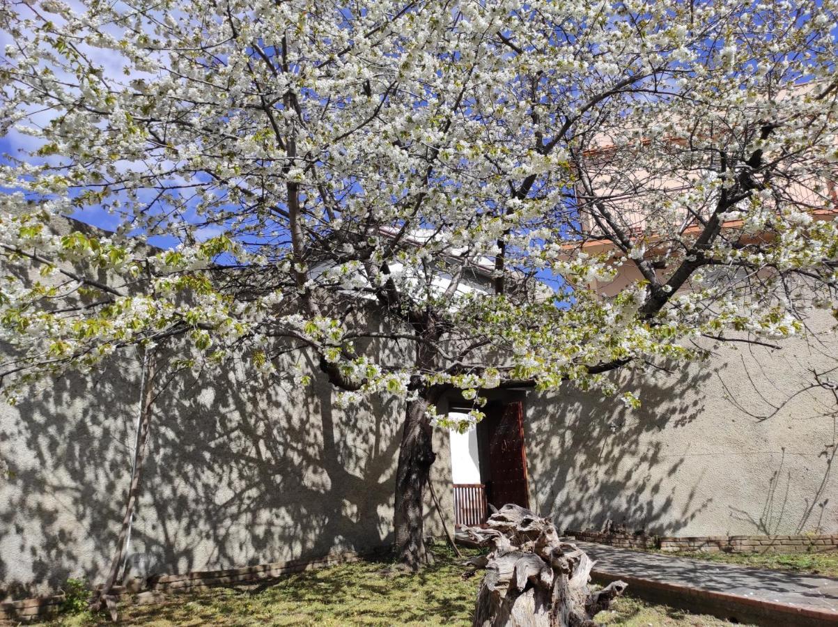 Antica Dimora Palazzo Rovitti Cerchiara di Calabria Exterior foto